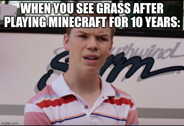 Confused minecraft boi | WHEN YOU SEE GRASS AFTER PLAYING MINECRAFT FOR 10 YEARS: | image tagged in you guys are getting paid | made w/ Imgflip meme maker