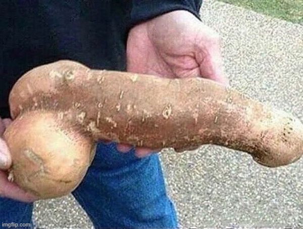 painis | made w/ Imgflip meme maker