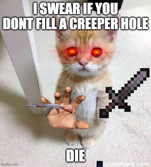 Cute Cat Meme | I SWEAR IF YOU DONT FILL A CREEPER HOLE; DIE | image tagged in memes,cute cat | made w/ Imgflip meme maker