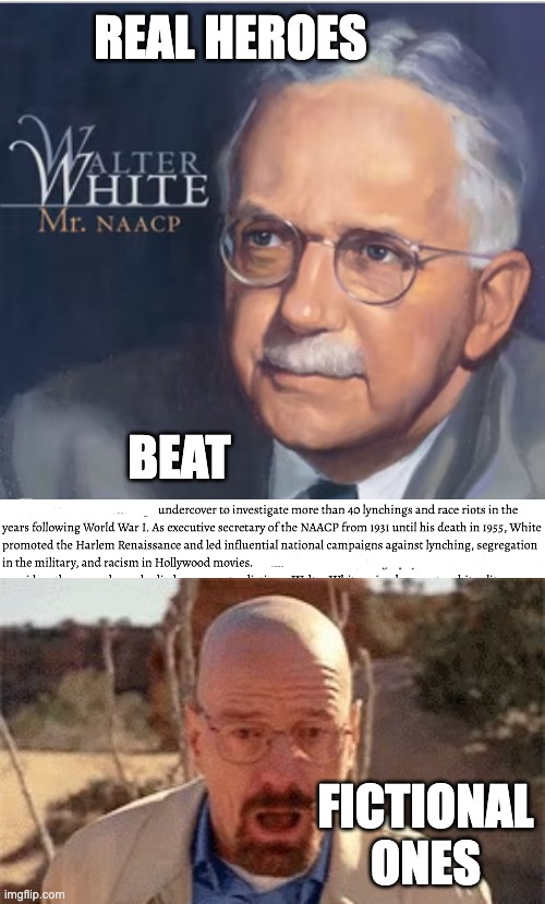 History | REAL HEROES; BEAT; FICTIONAL
ONES | image tagged in walter white,heroes,history | made w/ Imgflip meme maker