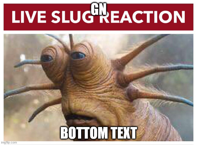Live slug reaction | GN; BOTTOM TEXT | image tagged in live slug reaction | made w/ Imgflip meme maker