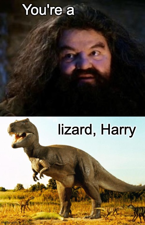 Winning | You're a; lizard, Harry | image tagged in you're a wizard harry,t-rex | made w/ Imgflip meme maker