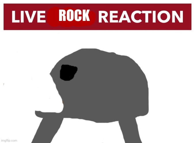 Fun fact: he physically cannot close his mouth | ROCK | image tagged in live slug reaction | made w/ Imgflip meme maker