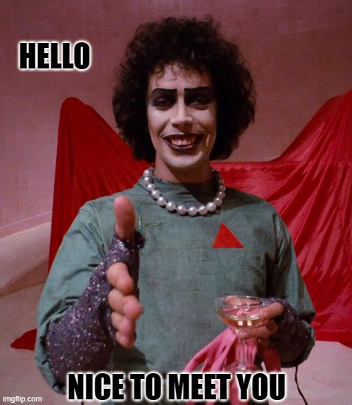 Nice to meet you | HELLO; NICE TO MEET YOU | image tagged in nice to meet you | made w/ Imgflip meme maker