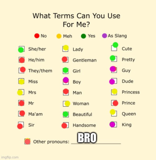 Since everyone else is doing it | BRO | image tagged in pronouns sheet | made w/ Imgflip meme maker