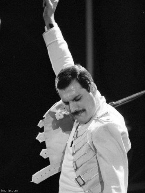 Freddie Mercury | image tagged in freddie mercury | made w/ Imgflip meme maker