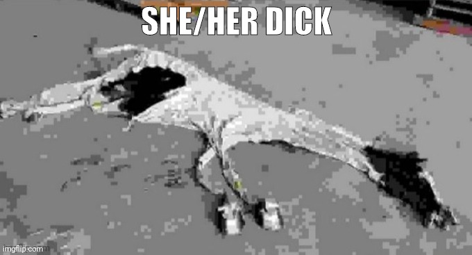 SHE/HER DICK | made w/ Imgflip meme maker