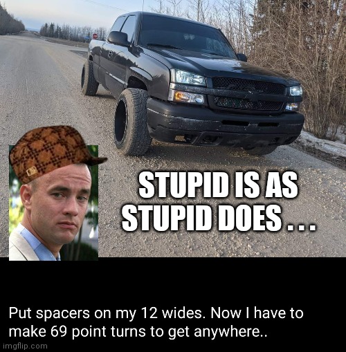 Wide tires truck meme | STUPID IS AS STUPID DOES . . . | image tagged in funny | made w/ Imgflip meme maker