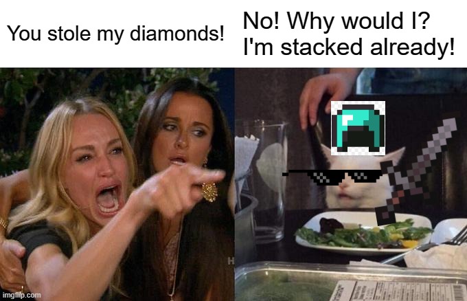 ah yes, the stacked cat | You stole my diamonds! No! Why would I? I'm stacked already! | image tagged in memes,woman yelling at cat | made w/ Imgflip meme maker