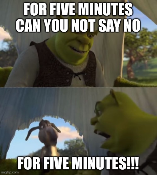 Could you not ___ for 5 MINUTES | FOR FIVE MINUTES CAN YOU NOT SAY NO FOR FIVE MINUTES!!! | image tagged in could you not ___ for 5 minutes | made w/ Imgflip meme maker