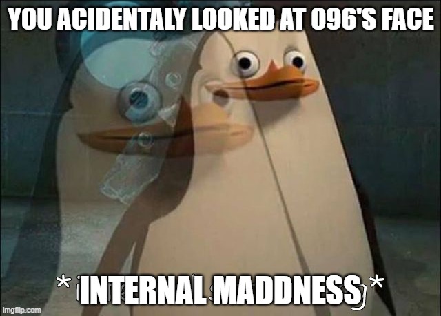 Private Internal Screaming | YOU ACIDENTALY LOOKED AT 096'S FACE; INTERNAL MADDNESS | image tagged in private internal screaming | made w/ Imgflip meme maker