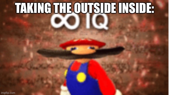 Infinite IQ | TAKING THE OUTSIDE INSIDE: | image tagged in infinite iq | made w/ Imgflip meme maker