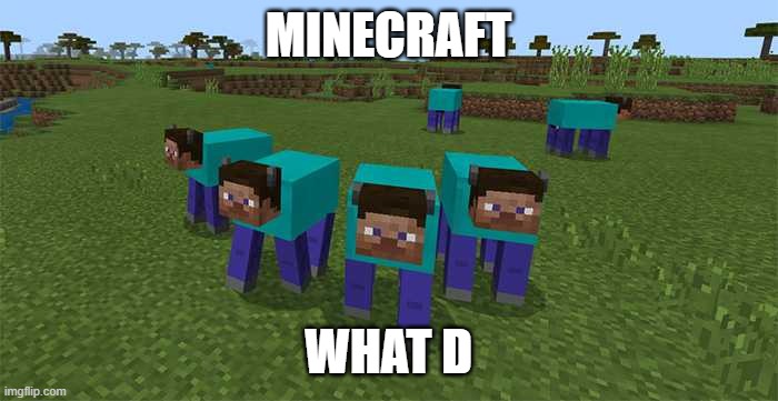 me and the boys | MINECRAFT WHAT D | image tagged in me and the boys | made w/ Imgflip meme maker