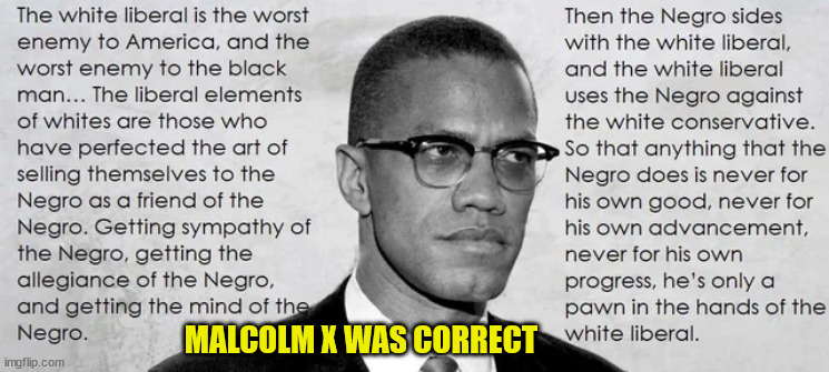 The white liberal is the worst enemy to America | MALCOLM X WAS CORRECT | image tagged in malcolm x,corrupt,white,liberals | made w/ Imgflip meme maker