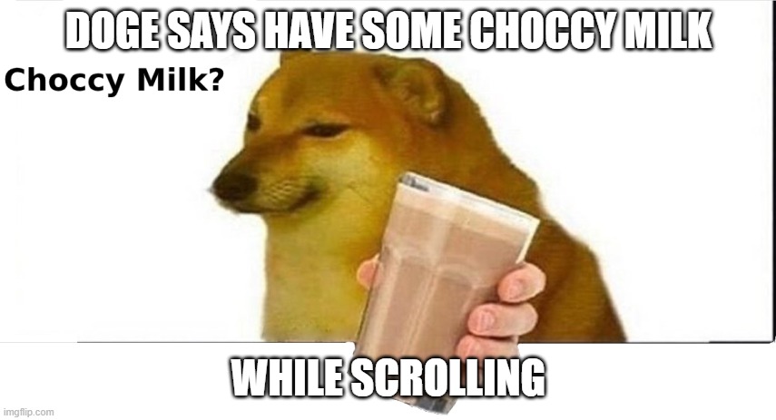 doge choccy milk | DOGE SAYS HAVE SOME CHOCCY MILK; WHILE SCROLLING | image tagged in doge choccy milk | made w/ Imgflip meme maker
