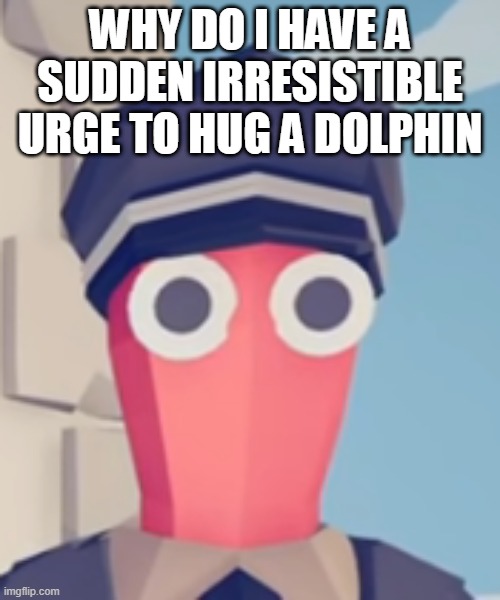 dolphin kink | WHY DO I HAVE A SUDDEN IRRESISTIBLE URGE TO HUG A DOLPHIN | image tagged in tabs stare | made w/ Imgflip meme maker