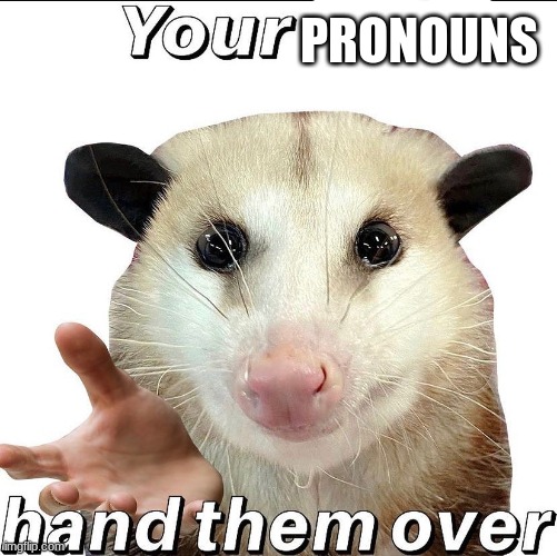 They're mine now | PRONOUNS | made w/ Imgflip meme maker