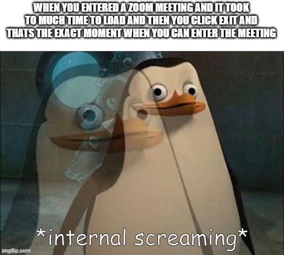 yup this happens to me a lot | WHEN YOU ENTERED A ZOOM MEETING AND IT TOOK TO MUCH TIME TO LOAD AND THEN YOU CLICK EXIT AND THATS THE EXACT MOMENT WHEN YOU CAN ENTER THE MEETING | image tagged in private internal screaming,dope,dank memes,relatable memes | made w/ Imgflip meme maker