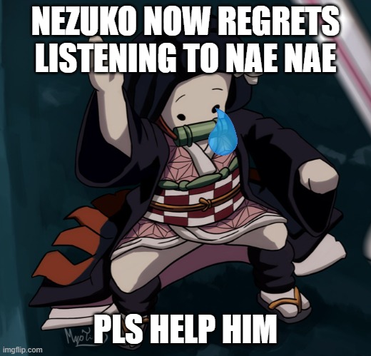 regret | NEZUKO NOW REGRETS LISTENING TO NAE NAE; PLS HELP HIM | image tagged in nezuko nae nae | made w/ Imgflip meme maker