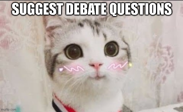 cute cat uwu | SUGGEST DEBATE QUESTIONS | image tagged in cute cat uwu | made w/ Imgflip meme maker