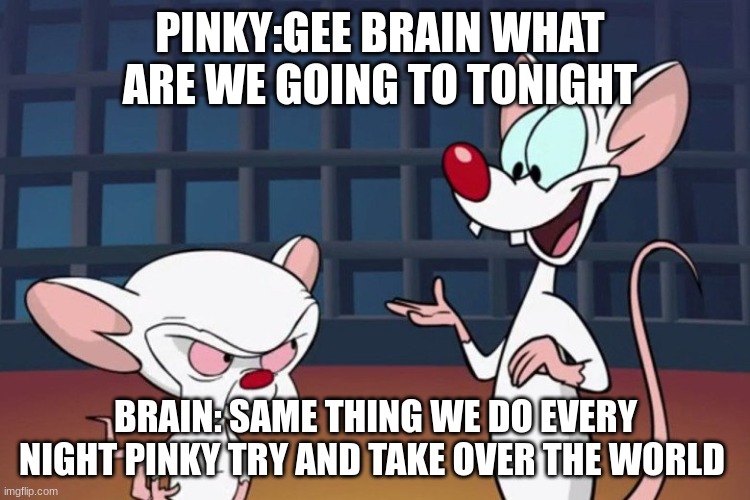 Same thing we do every day pinky | PINKY:GEE BRAIN WHAT  ARE WE GOING TO TONIGHT; BRAIN: SAME THING WE DO EVERY NIGHT PINKY TRY AND TAKE OVER THE WORLD | image tagged in same thing we do every day pinky | made w/ Imgflip meme maker
