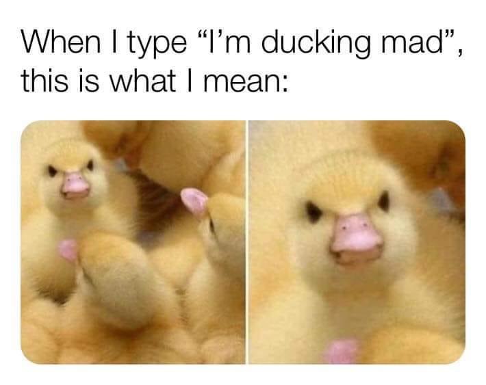 High Quality I’m ducking mad Blank Meme Template