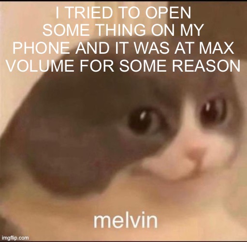 AND ITS 11 PM FUUCK | I TRIED TO OPEN SOME THING ON MY PHONE AND IT WAS AT MAX VOLUME FOR SOME REASON | image tagged in melvin | made w/ Imgflip meme maker