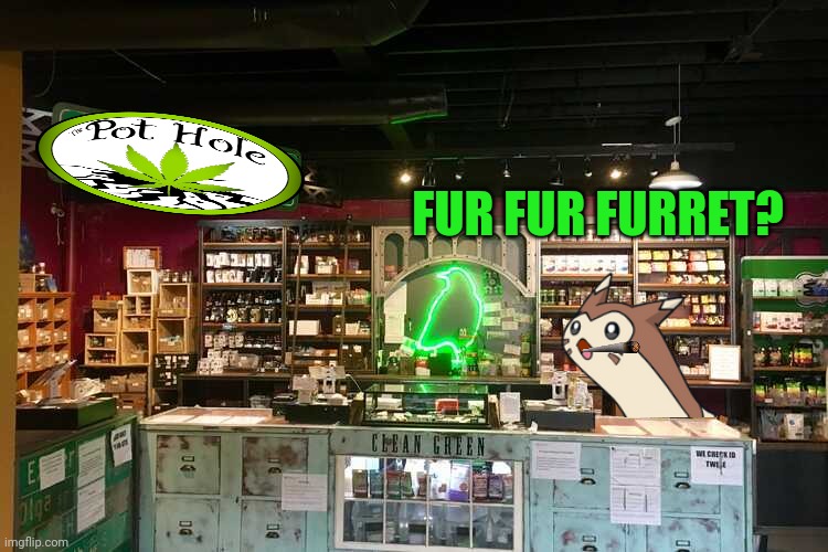 Furret's new store | FUR FUR FURRET? | image tagged in furret,fur,smoke weed everyday | made w/ Imgflip meme maker