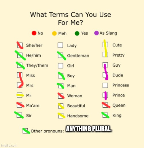 this is the pronouns sheet for my oc! | ANYTHING PLURAL. | image tagged in pronouns sheet | made w/ Imgflip meme maker