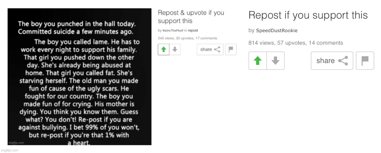 Repost if you support this | image tagged in support | made w/ Imgflip meme maker