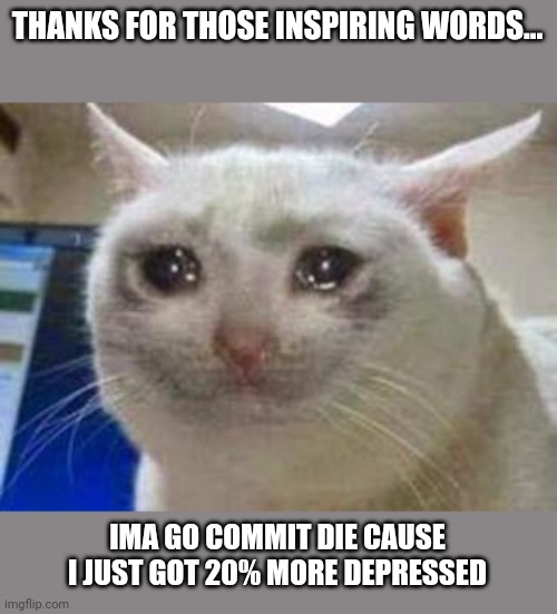 Sad cat | THANKS FOR THOSE INSPIRING WORDS... IMA GO COMMIT DIE CAUSE I JUST GOT 20% MORE DEPRESSED | image tagged in sad cat | made w/ Imgflip meme maker