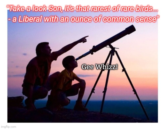 Rare Find! | "Take a look Son, it's that rarest of rare birds... - a Liberal with an ounce of common sense"; Gee Whizz! | image tagged in makes sense,smart,liberal logic,scary things,rare pepe | made w/ Imgflip meme maker
