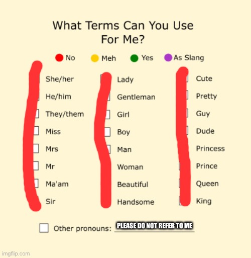 Funny pronouns joke | PLEASE DO NOT REFER TO ME | image tagged in pronouns sheet | made w/ Imgflip meme maker
