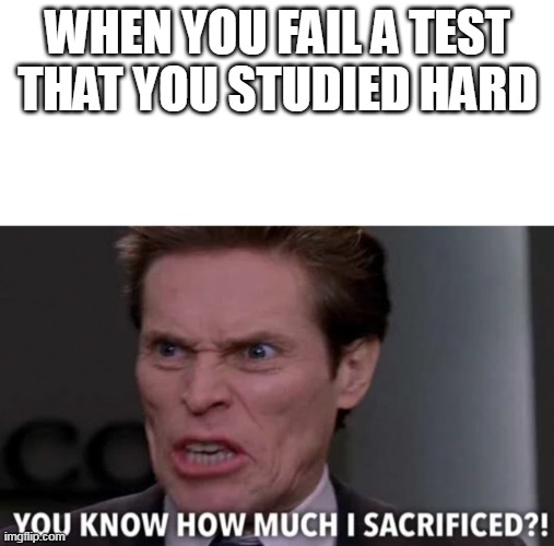 Green Goblin, You know how much I sacrificed? | WHEN YOU FAIL A TEST THAT YOU STUDIED HARD | image tagged in green goblin you know how much i sacrificed | made w/ Imgflip meme maker