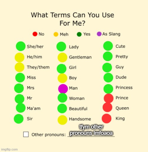 , | tfym other pronouns lmfoaoa | image tagged in pronouns sheet | made w/ Imgflip meme maker