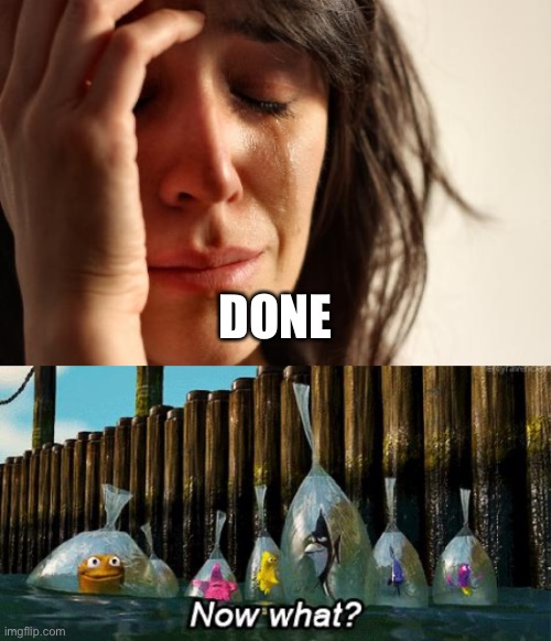 DONE | image tagged in memes,first world problems,now what | made w/ Imgflip meme maker