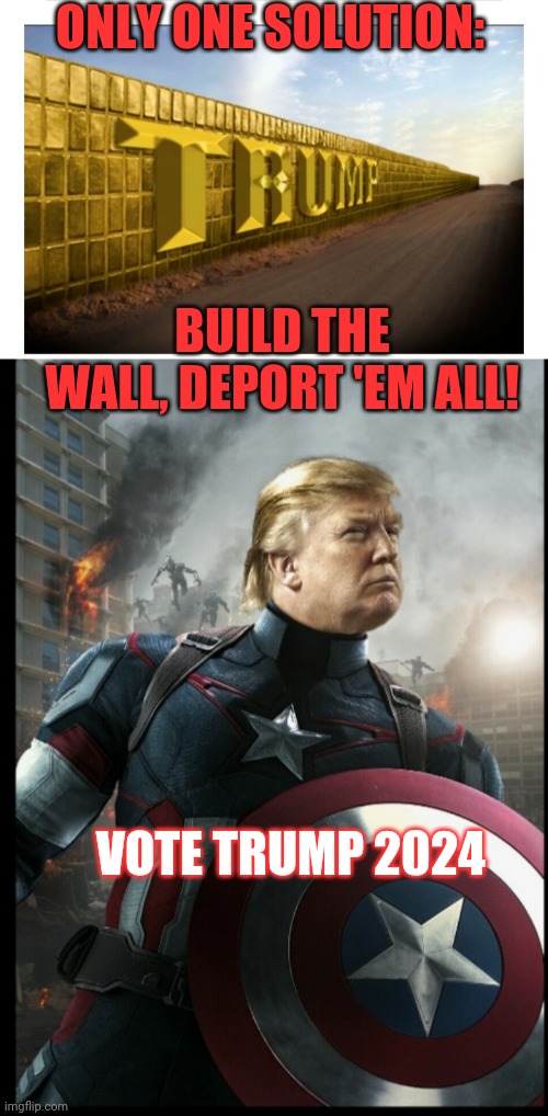 Captain America: DEPORT 'em all! | ONLY ONE SOLUTION:; BUILD THE WALL, DEPORT 'EM ALL! VOTE TRUMP 2024 | image tagged in deport,illegal aliens,now | made w/ Imgflip meme maker