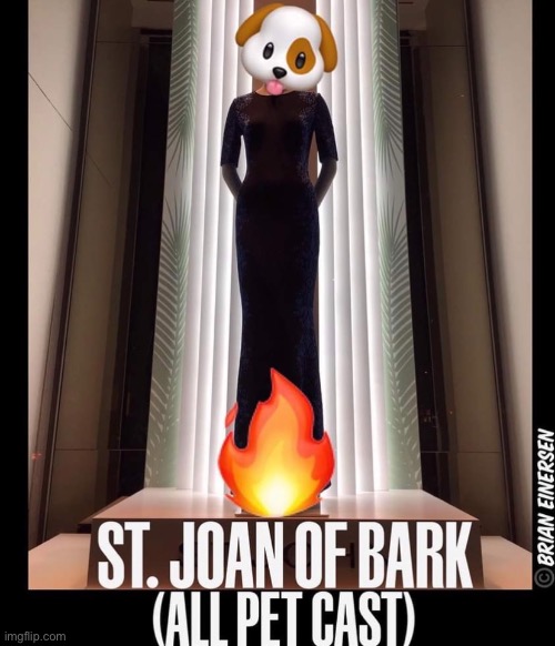 Saint Joan of Bark | image tagged in fashion,window design,saint john,joan of arc,all pet cast,brian einersen | made w/ Imgflip meme maker