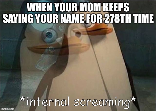 Private Internal Screaming | WHEN YOUR MOM KEEPS SAYING YOUR NAME FOR 278TH TIME | image tagged in private internal screaming | made w/ Imgflip meme maker