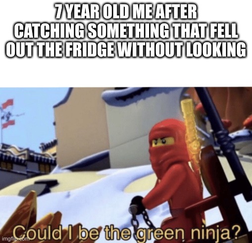relatable meme |  7 YEAR OLD ME AFTER CATCHING SOMETHING THAT FELL OUT THE FRIDGE WITHOUT LOOKING | image tagged in could i be the green ninja,childhood | made w/ Imgflip meme maker