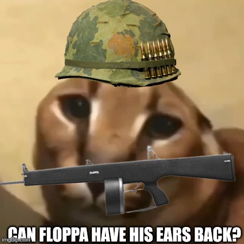 big floppa | CAN FLOPPA HAVE HIS EARS BACK? | image tagged in big floppa | made w/ Imgflip meme maker