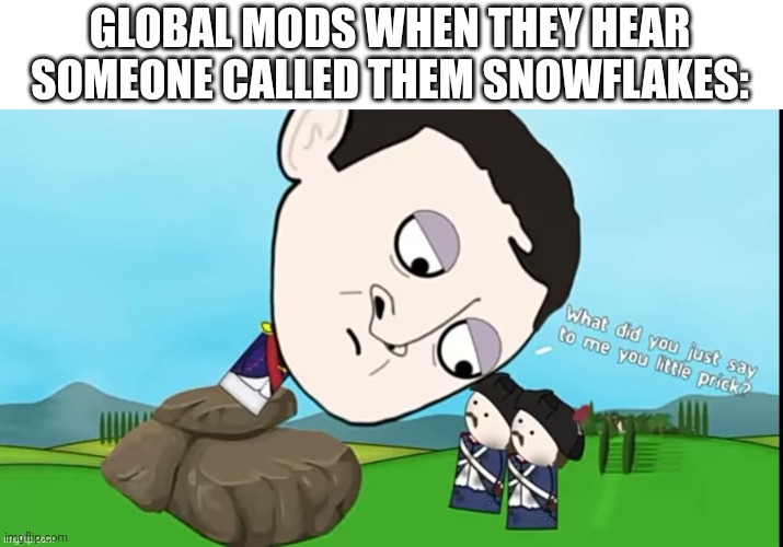 Don't call them snowflakes | GLOBAL MODS WHEN THEY HEAR SOMEONE CALLED THEM SNOWFLAKES: | image tagged in what did you just say to me you little prick | made w/ Imgflip meme maker