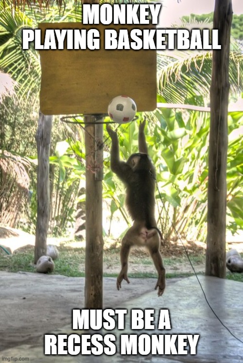 recess monkey | MONKEY PLAYING BASKETBALL; MUST BE A RECESS MONKEY | image tagged in laughing monkey | made w/ Imgflip meme maker