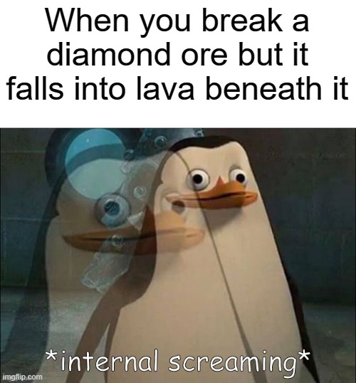 True story | When you break a diamond ore but it falls into lava beneath it | image tagged in private internal screaming,minecraft,diamonds,relatable,memes,funny | made w/ Imgflip meme maker