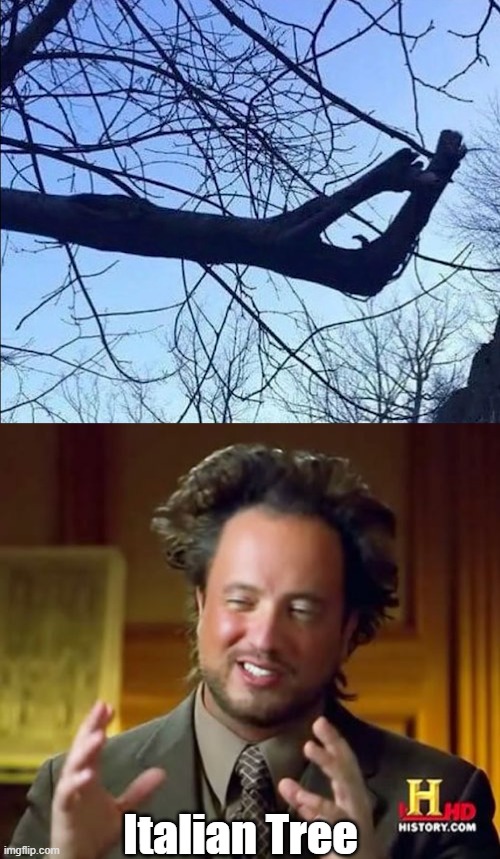 Ancient aliens | Italian Tree | image tagged in memes,ancient aliens | made w/ Imgflip meme maker