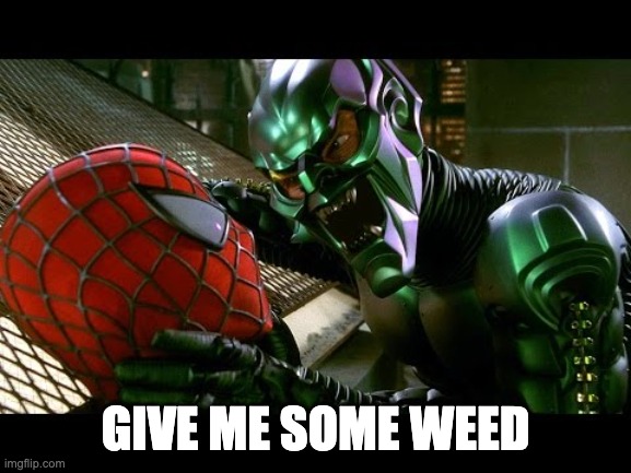 Spiderman and Green Goblin | GIVE ME SOME WEED | image tagged in spiderman and green goblin | made w/ Imgflip meme maker