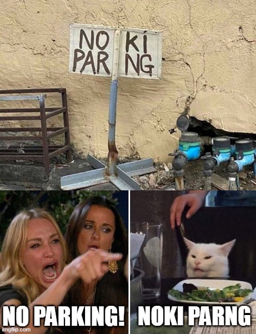 Angry parking | NO PARKING! NOKI PARNG | image tagged in angry lady cat | made w/ Imgflip meme maker