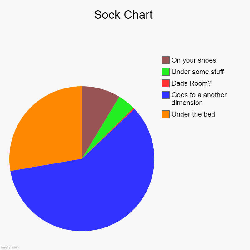 The sock chart | Sock Chart | Under the bed, Goes to a another dimension, Dads Room?, Under some stuff, On your shoes | image tagged in charts,pie charts | made w/ Imgflip chart maker