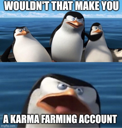 Wouldn't that make you | WOULDN'T THAT MAKE YOU; A KARMA FARMING ACCOUNT | image tagged in wouldn't that make you | made w/ Imgflip meme maker