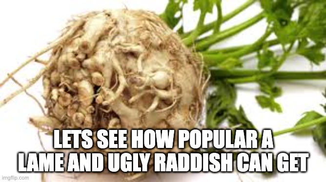 LETS SEE HOW POPULAR A LAME AND UGLY RADDISH CAN GET | image tagged in ugly raddish | made w/ Imgflip meme maker